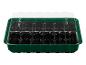 Propagateur de semis Parkside vert avec couvercle transparent et 24 cellules.