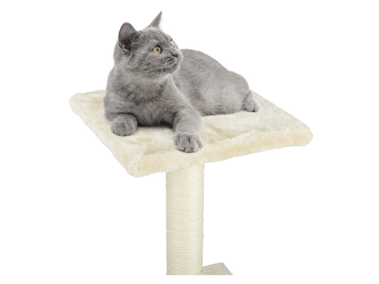 Aller en mode plein écran : zoofari® Arbre à chat, 87 cm - Image 5