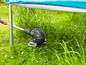 Une tondeuse à gazon noire Bosch dans l'herbe.