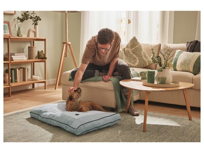 Un homme caresse son chien allongé sur un lit pour chien bleu clair.