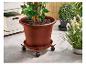 Un grand pot de fleurs marron avec une plante, sur un support à roulettes, à côté d'autres plantes.