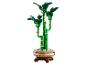 Plante de bambou Lego en pot avec des pierres blanches