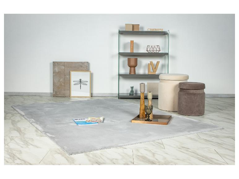 Tapis gris clair dans un salon moderne avec étagères et poufs.
