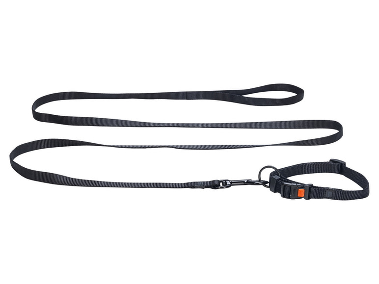 Aller en mode plein écran : Collier avec laisse - Image 36