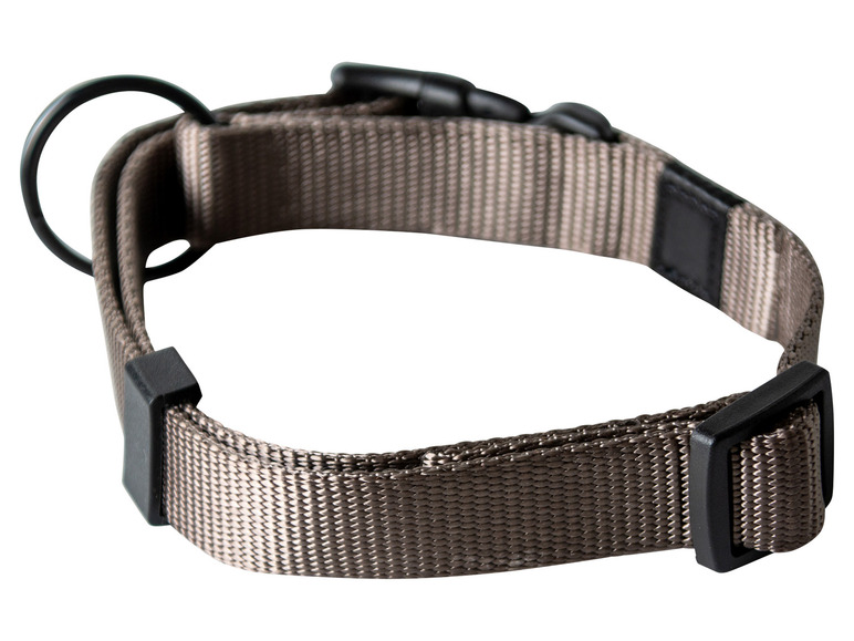 Aller en mode plein écran : Collier avec laisse - Image 6