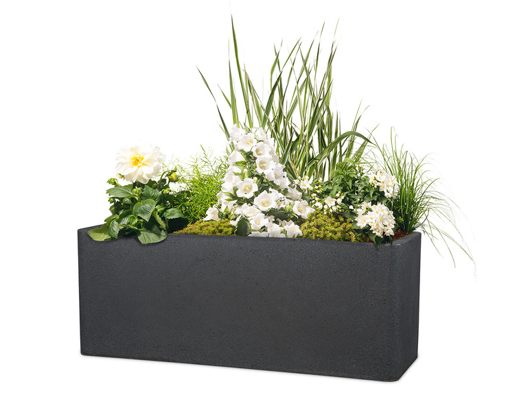 Aller en mode plein écran : Scheurich Jardinières « Cube Box », plastique, rectangulaire - Image 2