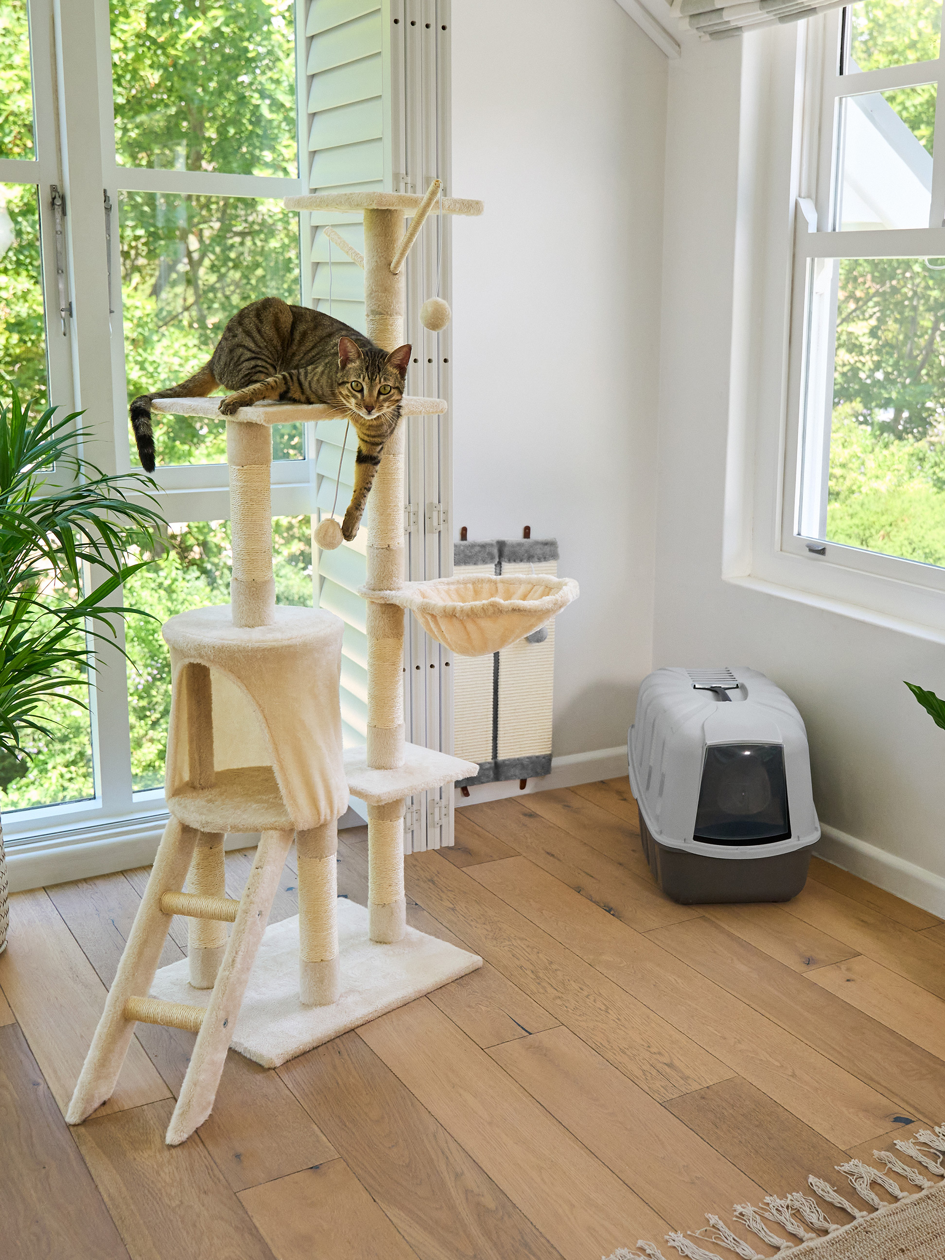 Chat tigré sur un arbre à chat avec litière dans une pièce lumineuse.