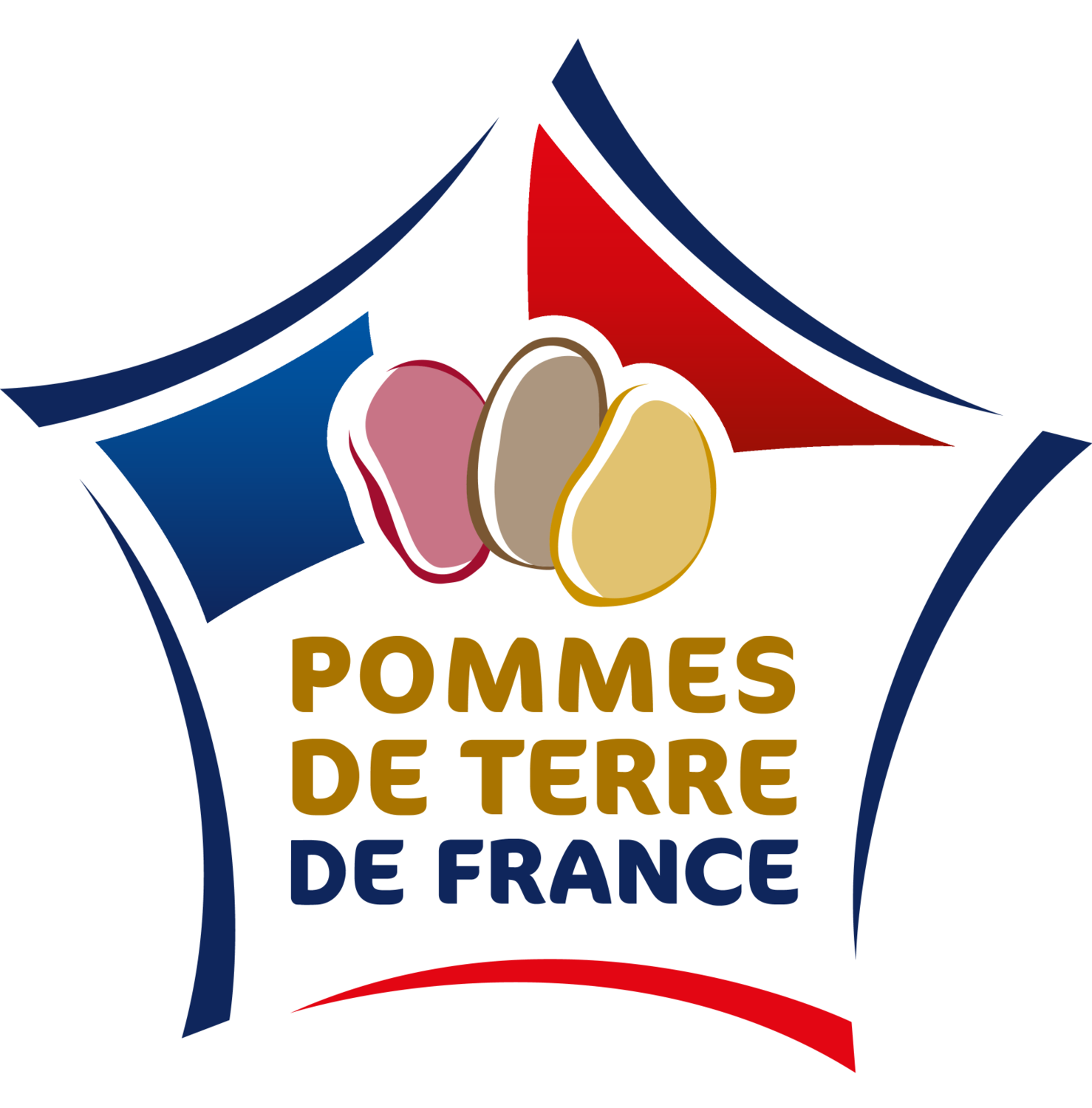 Logo en forme d'étoile avec des pommes de terre et le texte ' Pommes de terre de France '.