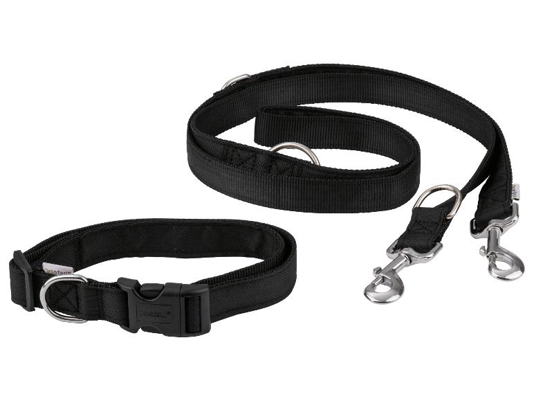 Collier et laisse noirs pour chien avec fermoirs métalliques.