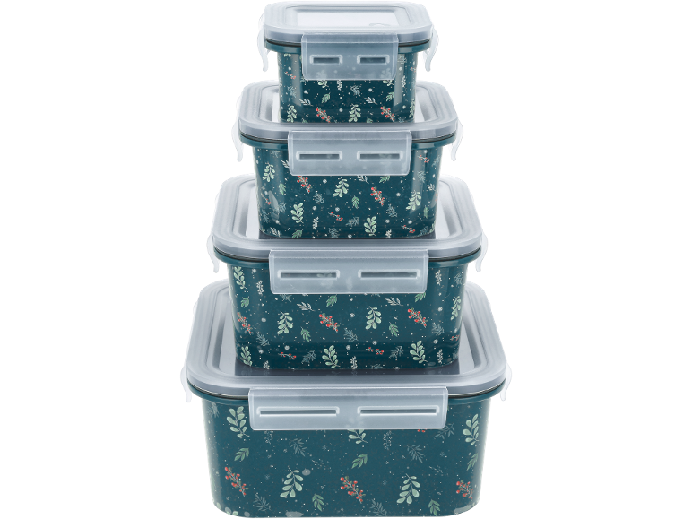 Ensemble de boîtes de conservation empilables à motifs de feuilles et de baies.