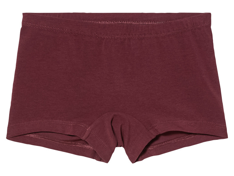 Un boxer de couleur bordeaux.