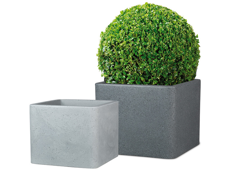 Aller en mode plein écran : Scheurich Pot à plantes « Cube », en plastique, carré, à paroi épaisse - Image 2