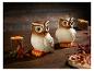 Deux chouettes en céramique de style rustique, entourées de bougies et de décorations d'automne.