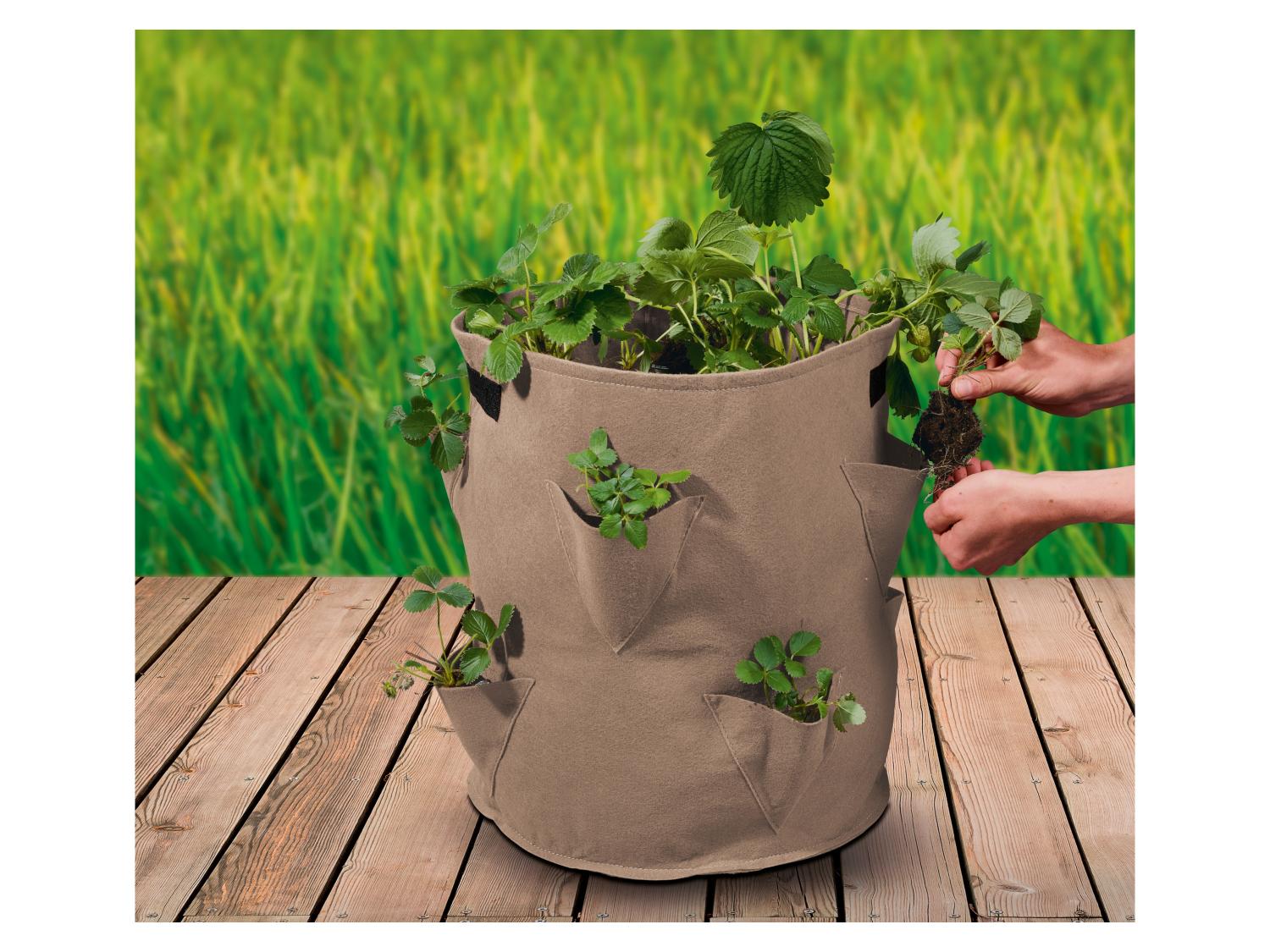 Sac De Jardin Lidl