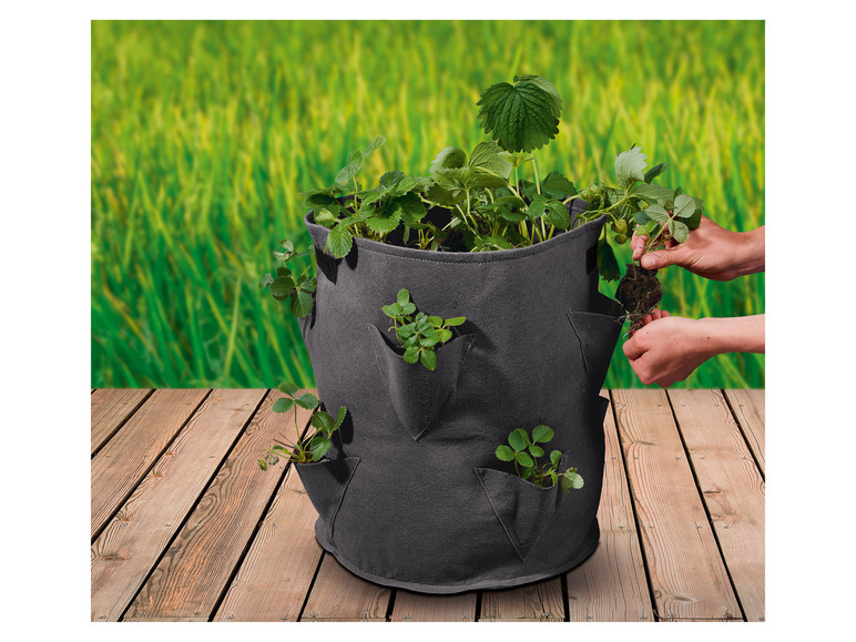 Aller en mode plein écran : PARKSIDE® Lot de 2 sacs à plantes en non-tissé - Image 5