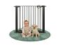 Barrière de sécurité avec un bébé et un chiot assis sur un tapis rond vert.