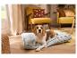Chien beagle allongé sur un coussin gris dans un salon avec des meubles jaunes.