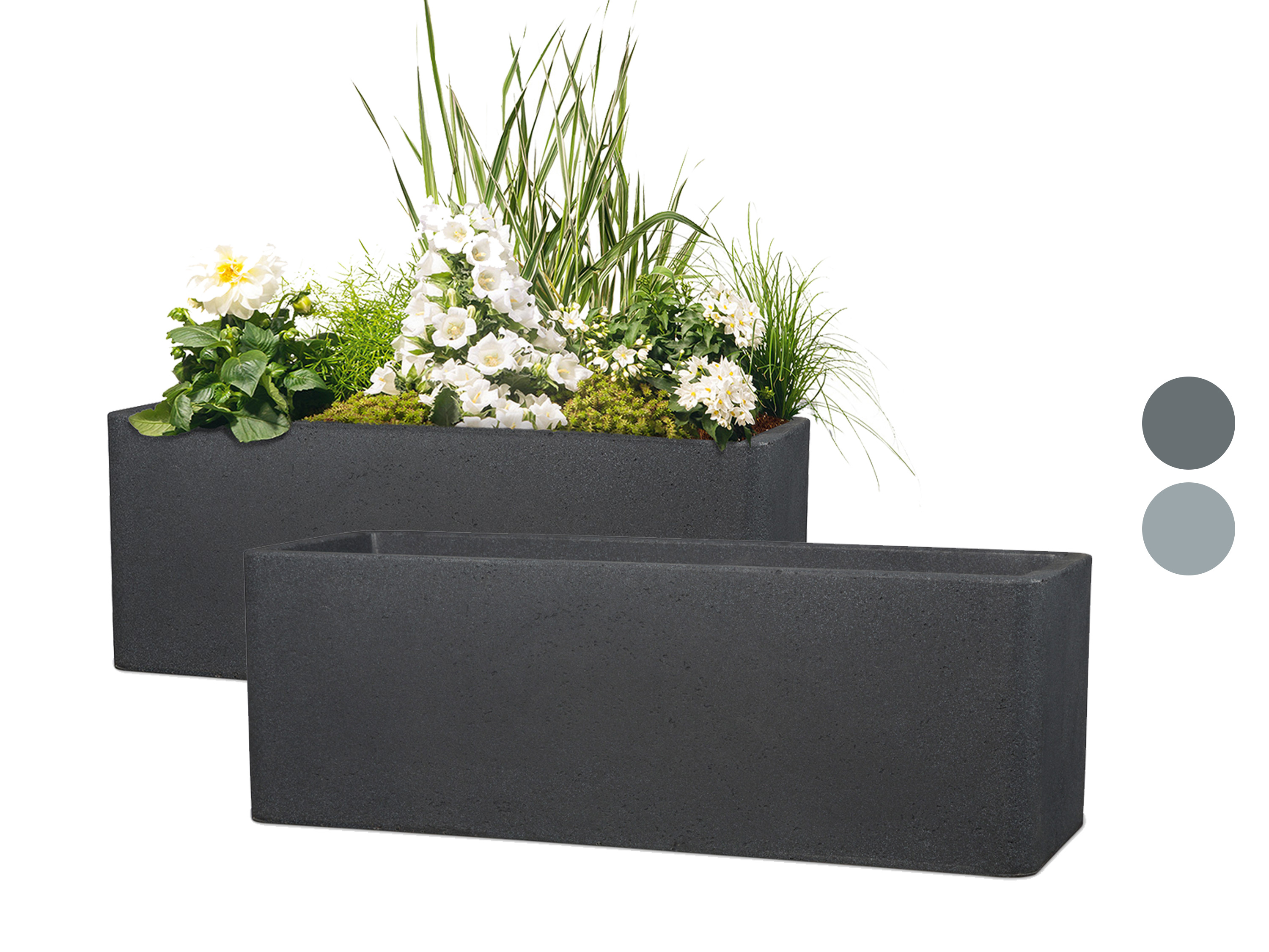 Scheurich Jardinières « Cube Box », plastique, rectangulaire