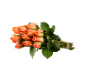 Bouquet de roses oranges avec des tiges et des feuilles vertes sur fond noir.