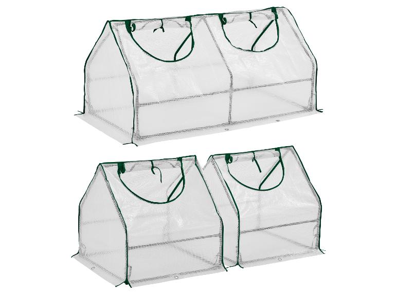 Deux mini-serres transparentes avec bordure verte