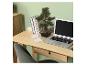 Bureau en bois avec un ordinateur portable, des livres et un bonsaï artificiel.
