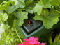 Un pot de fleurs vert avec un système d'arrosage automatique et des géraniums.