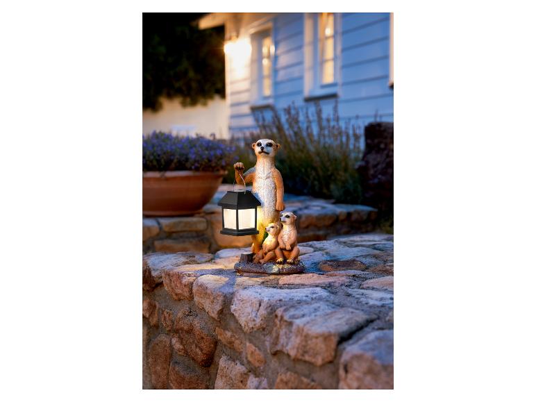 Une famille de suricates avec une lanterne solaire.