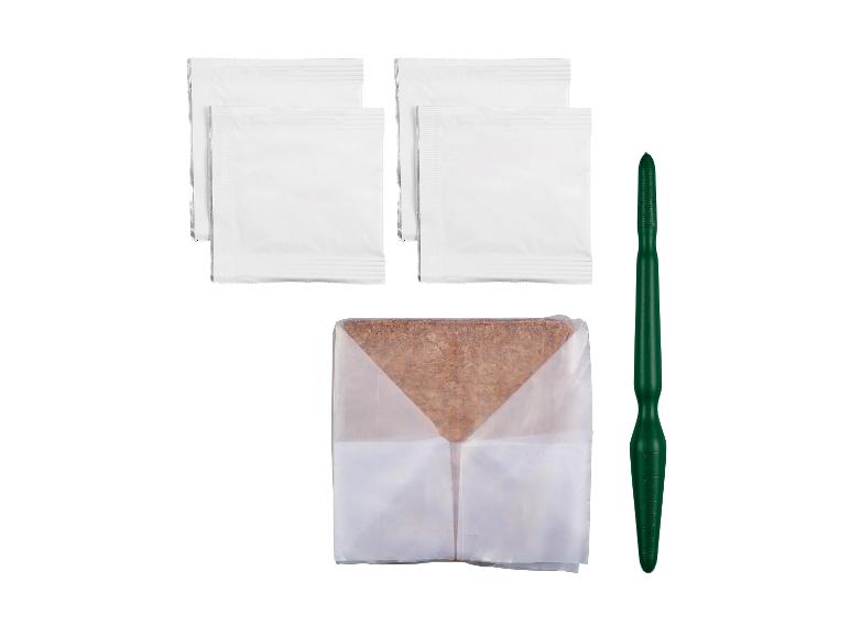 Paquets de graines, un comprimé de semis et un outil de semis.