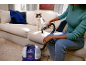 Femme nettoyant un canapé avec un nettoyeur de taches, avec un chat à proximité.