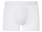 Un boxer blanc.