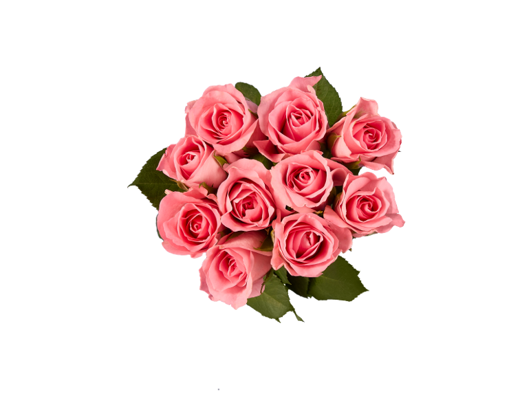Bouquet de roses roses avec des feuilles vertes sur fond noir.