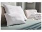 Oreillers blancs et couette pliée sur un canapé, avec des draps verts et une couverture bleue.