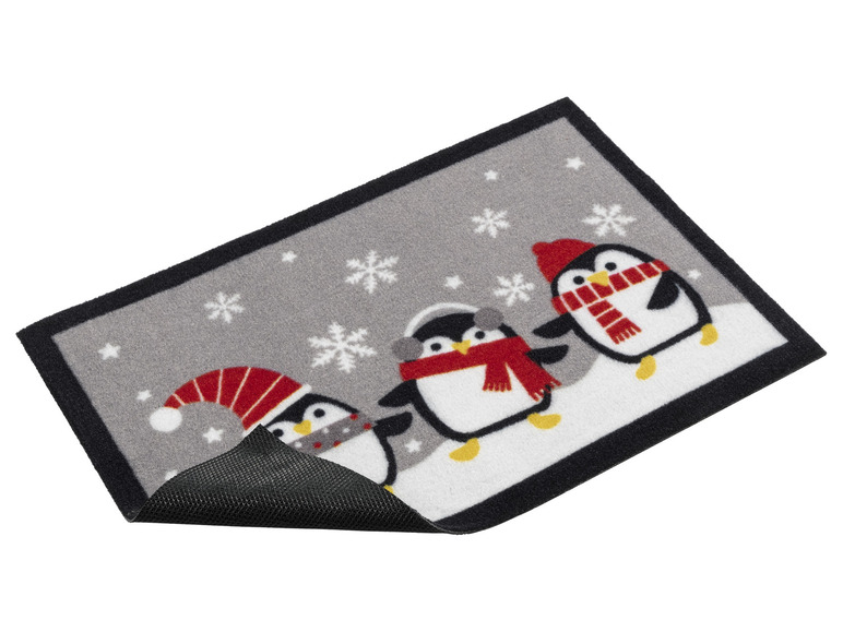 Aller en mode plein écran : LIVARNO home Tapis antipoussière, 40 x 60 cm - Image 4