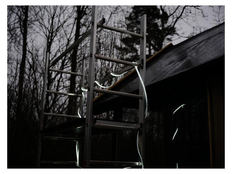 LIVARNO® Leuchtschlauch »The Renovator« sur échafaudage, éclairant une forêt sombre.