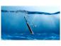 Une brosse à dents électrique Oral-B dans l'eau.