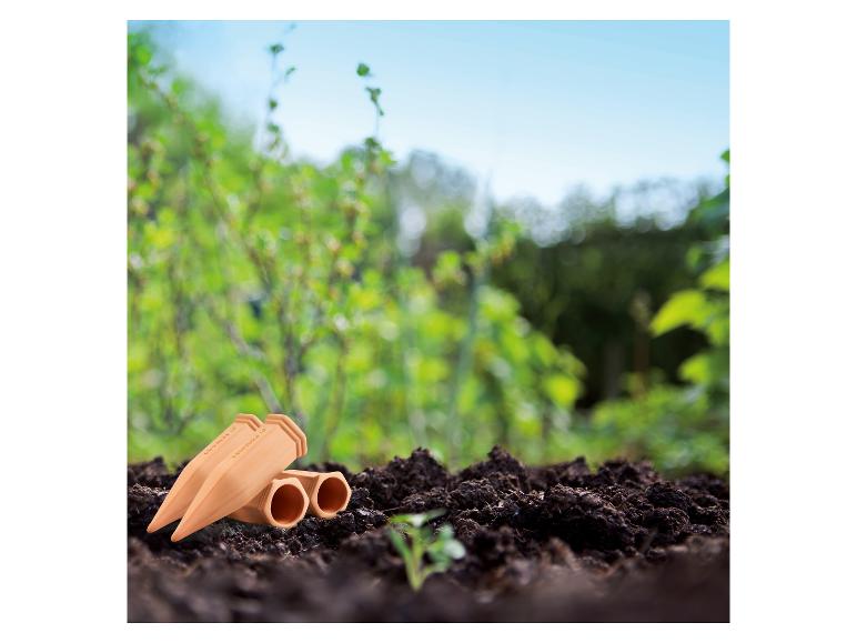 Deux arroseurs de plantes en terre cuite posés sur la terre dans un jardin.