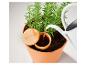 Rosemary plant in a Parkside pot with self-watering system.