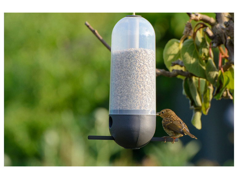 Aller en mode plein écran : dobar Distributeur de nourriture pour oiseaux - Image 7