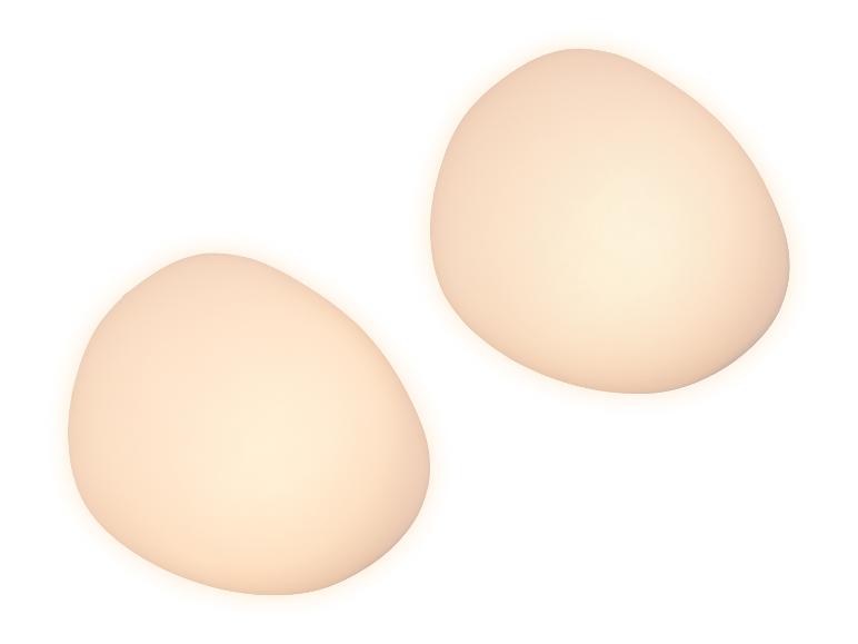 Deux œufs de couleur claire sur fond blanc.