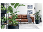 Deux plantes dans des pots noirs dans un intérieur moderne avec un canapé brun.