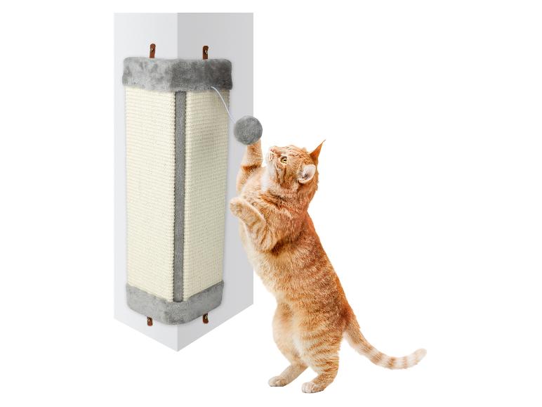 Griffoir(s) pour chat