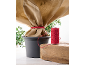 Plante en pot enveloppée dans un tissu protecteur beige, attachée avec une ficelle rouge, avec une bobine de ficelle.