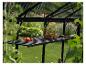 Une serre en métal noir avec une étagère en bois et des plantes en pot