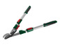 Un sécateur télescopique Parkside pour couper les branches.