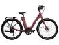 Un vélo électrique rouge-brun avec des pneus Schwalbe.