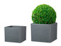Deux pots carrés gris, l'un avec une plante verte sphérique.