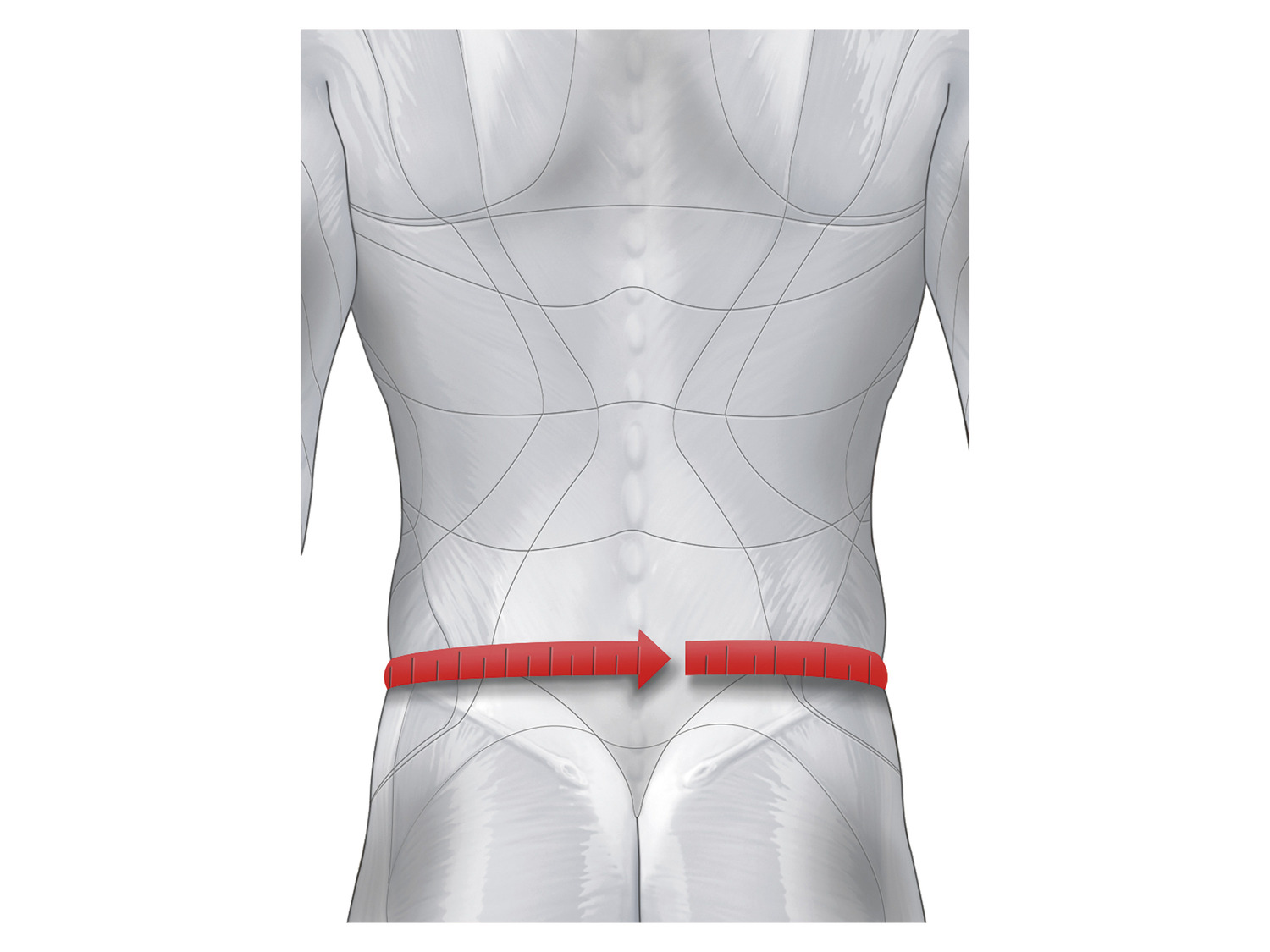 sensiplast Ceinture lombaire Acheter en ligne LIDL