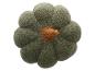 Coussin en peluche en forme de fleur, couleur vert olive.