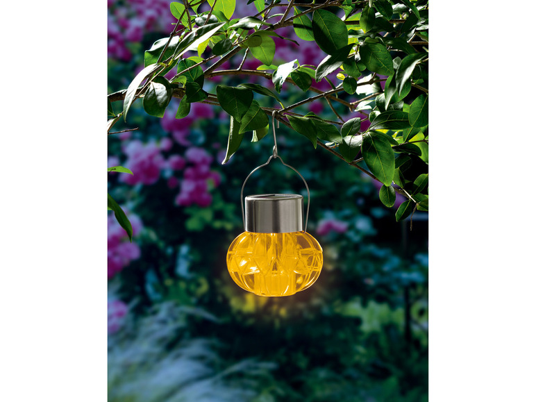 Aller en mode plein écran : LIVARNO home Lampe solaire décorative - Image 26
