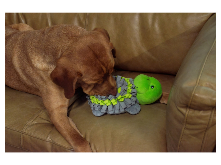Aller en mode plein écran : Peluche pour chien - Image 6